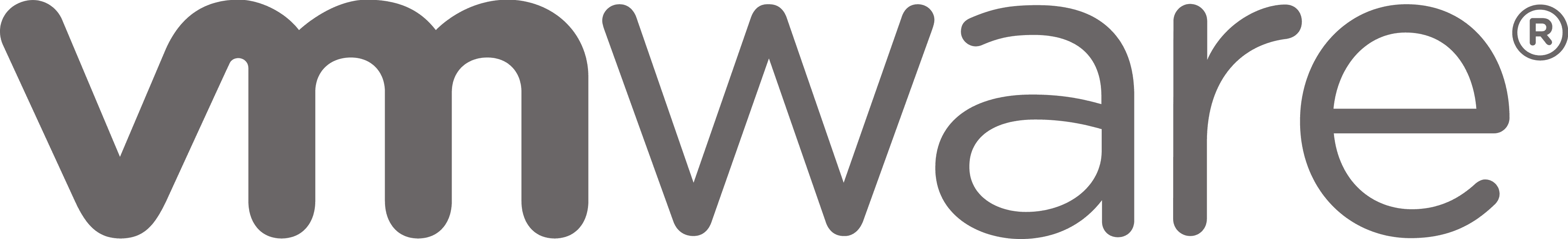VMware / Broadcom